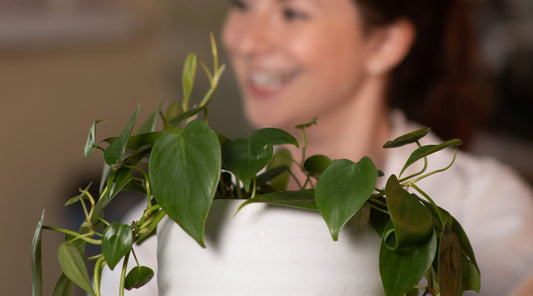 Est-ce que le béton est bon pour mes plantes ?