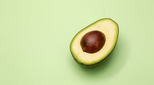 Avocatier dans les pots de béton