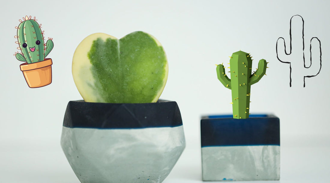 Tout savoir sur l'entretien des cactus