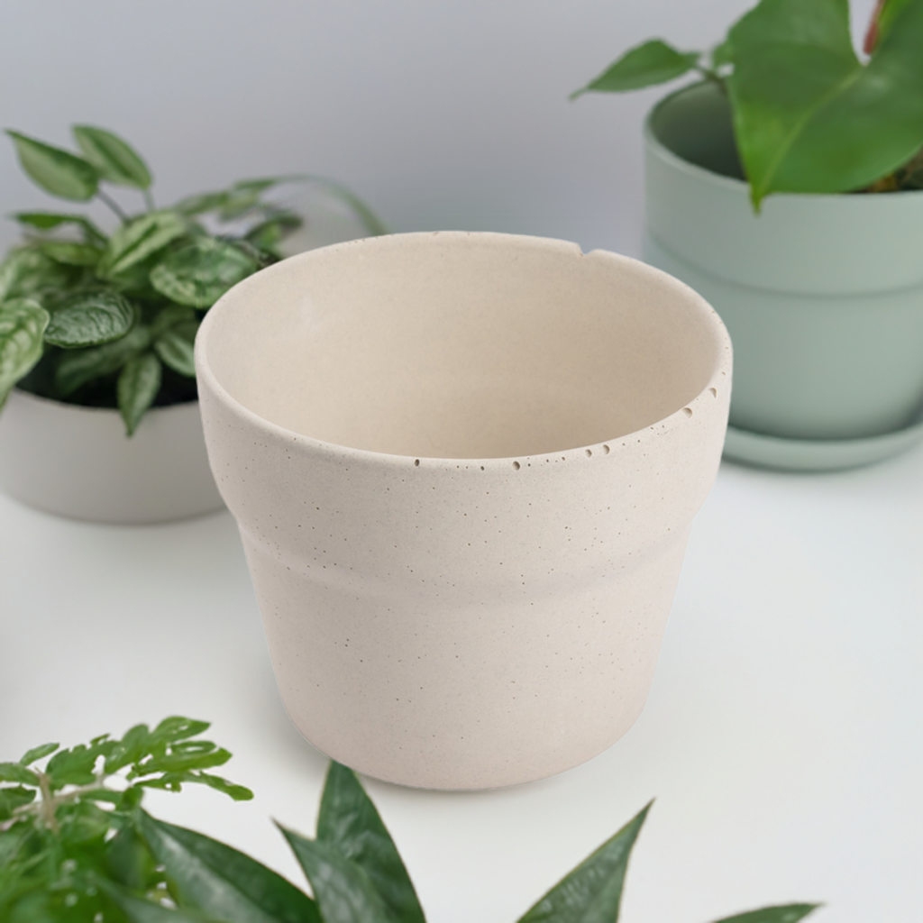 Carnelian | concrete pot