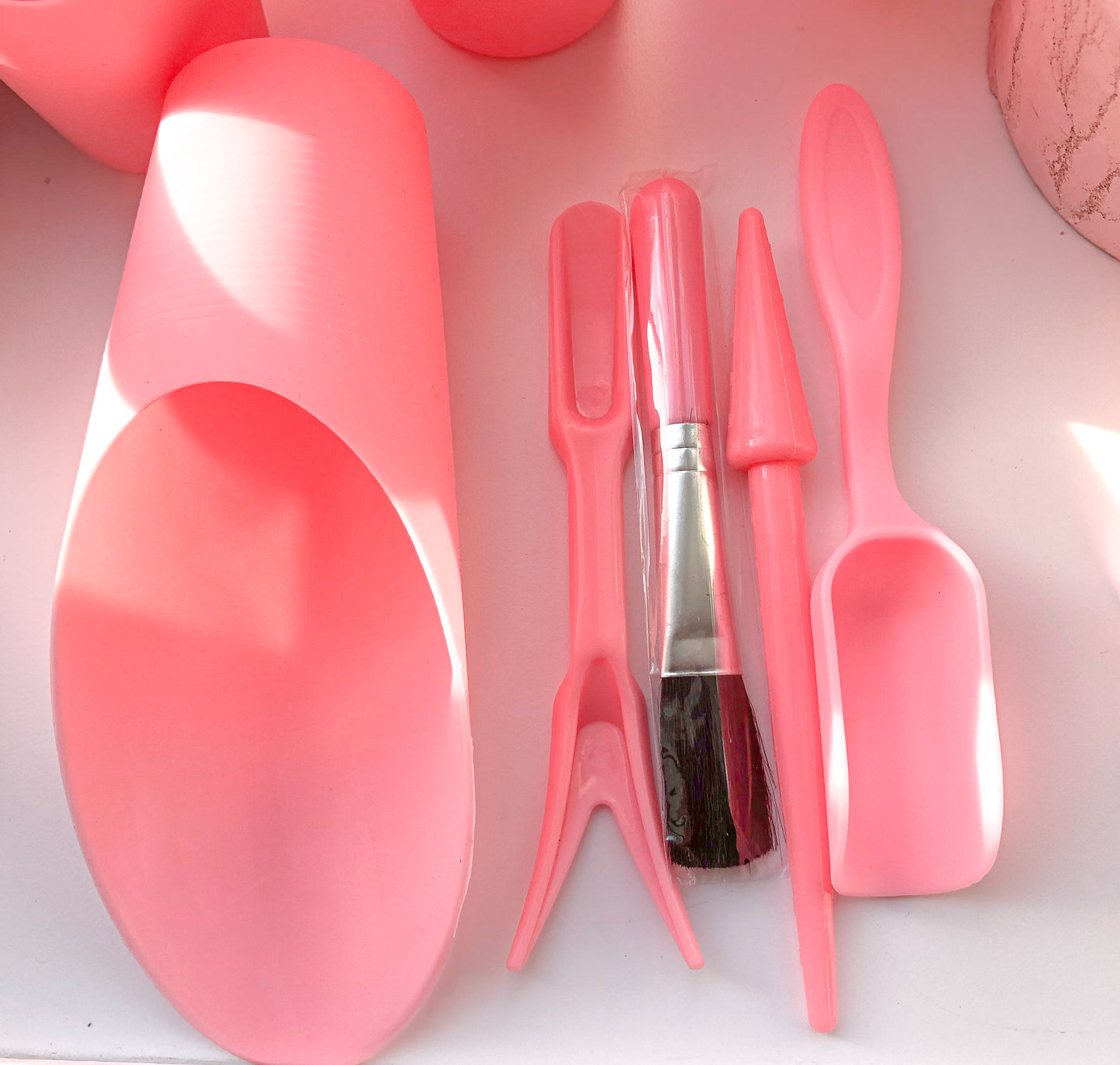 Conjunto de herramientas de trasplante suculentas