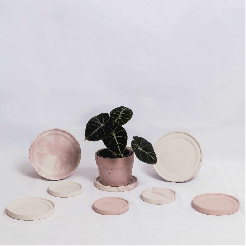 Plant saucer