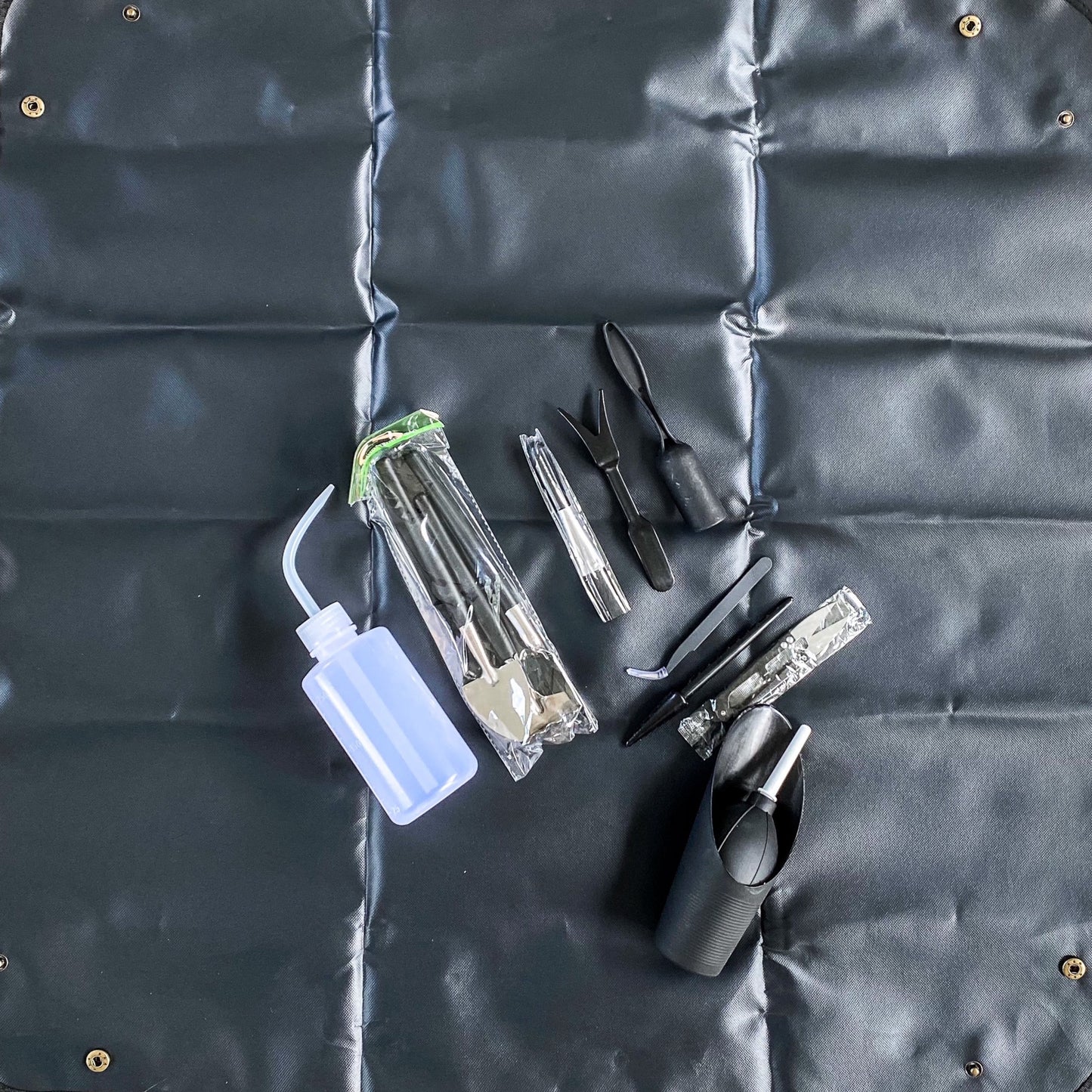 Conjunto de herramientas de trasplante suculentas