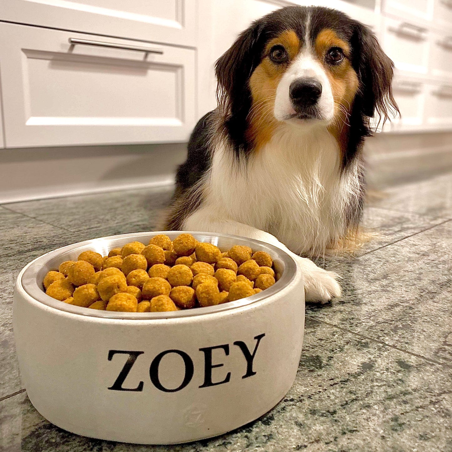 Large animal bowl