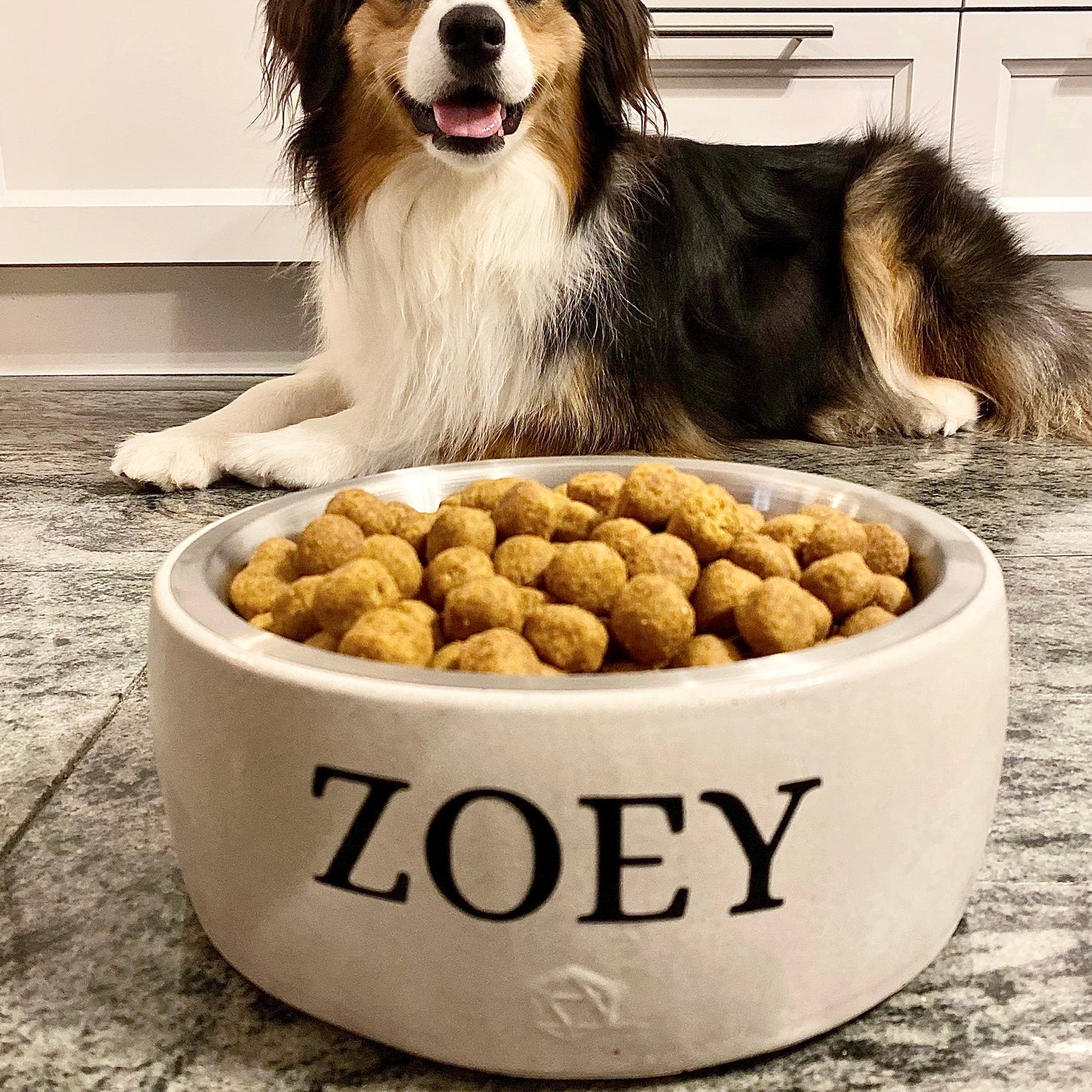 Large animal bowl