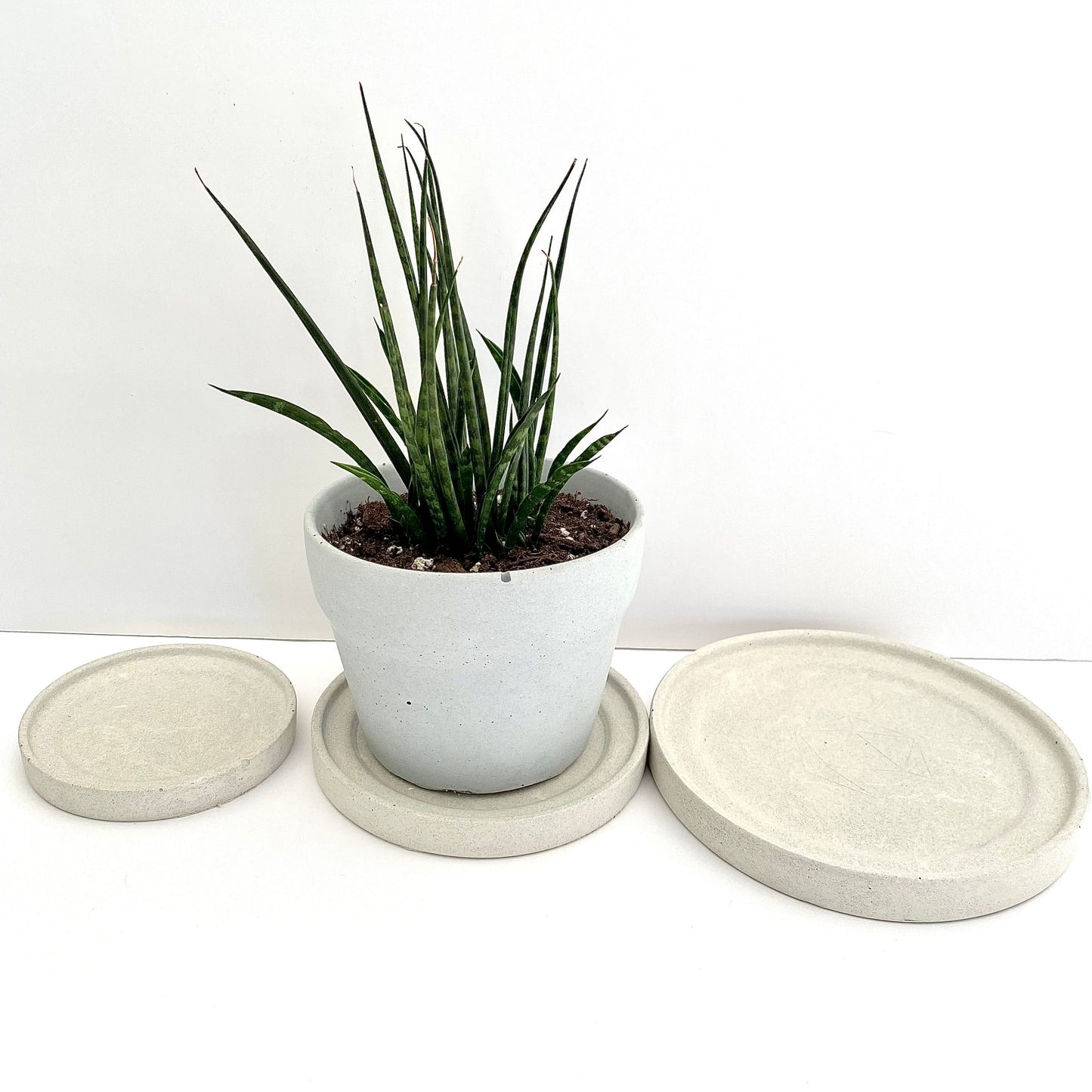 Plant saucer