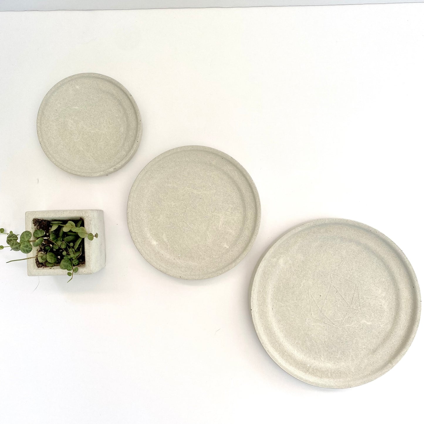 Plant saucer