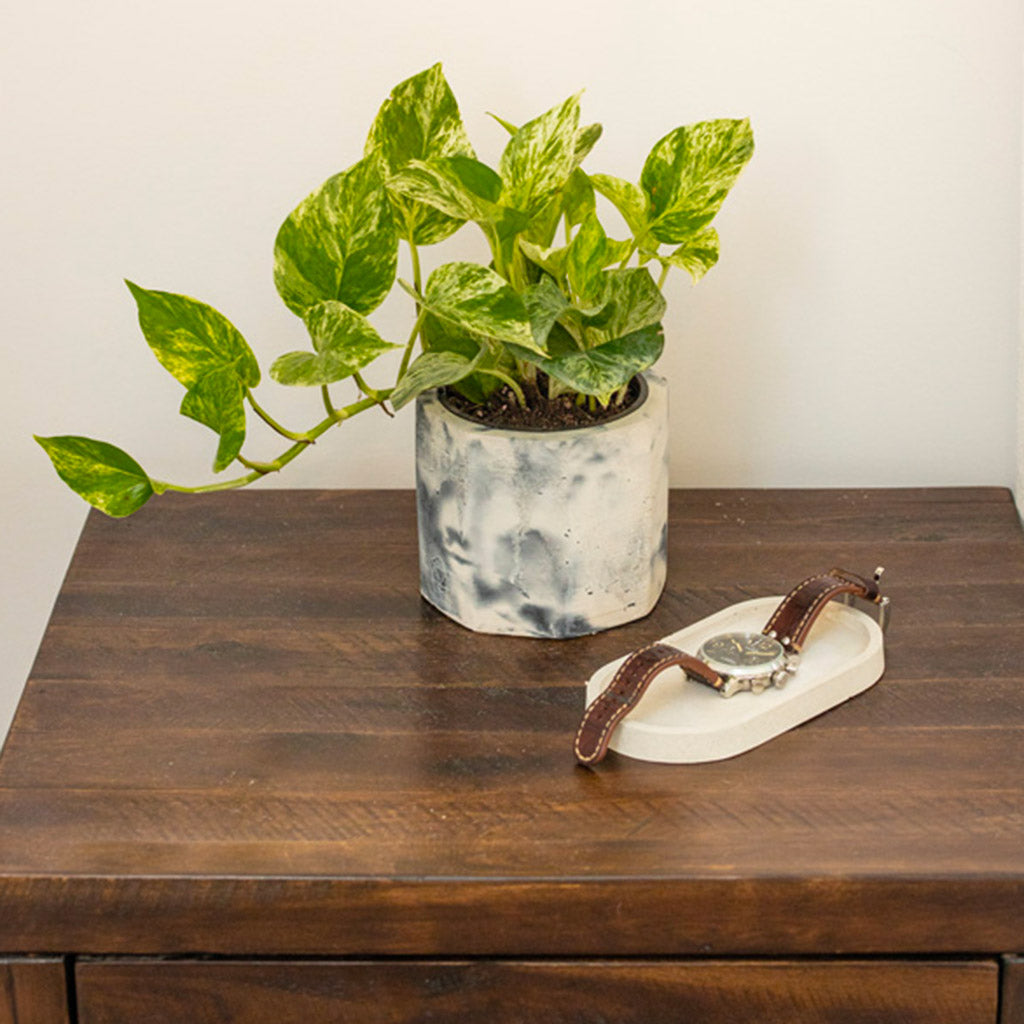 Jadeite | concrete pot