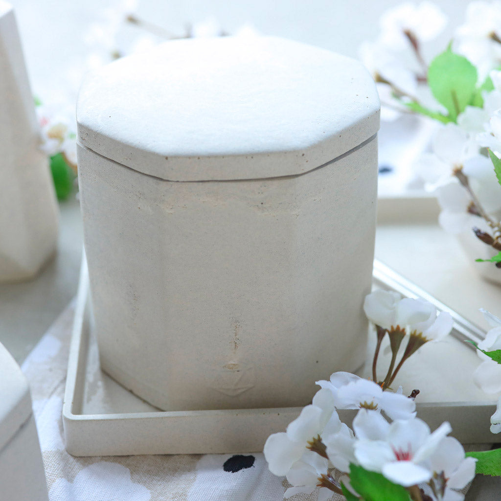 Jadeite | concrete pot