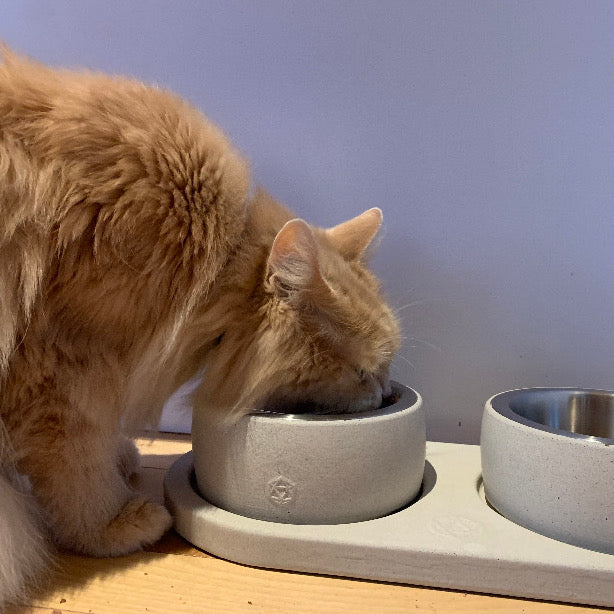 Small animal bowl