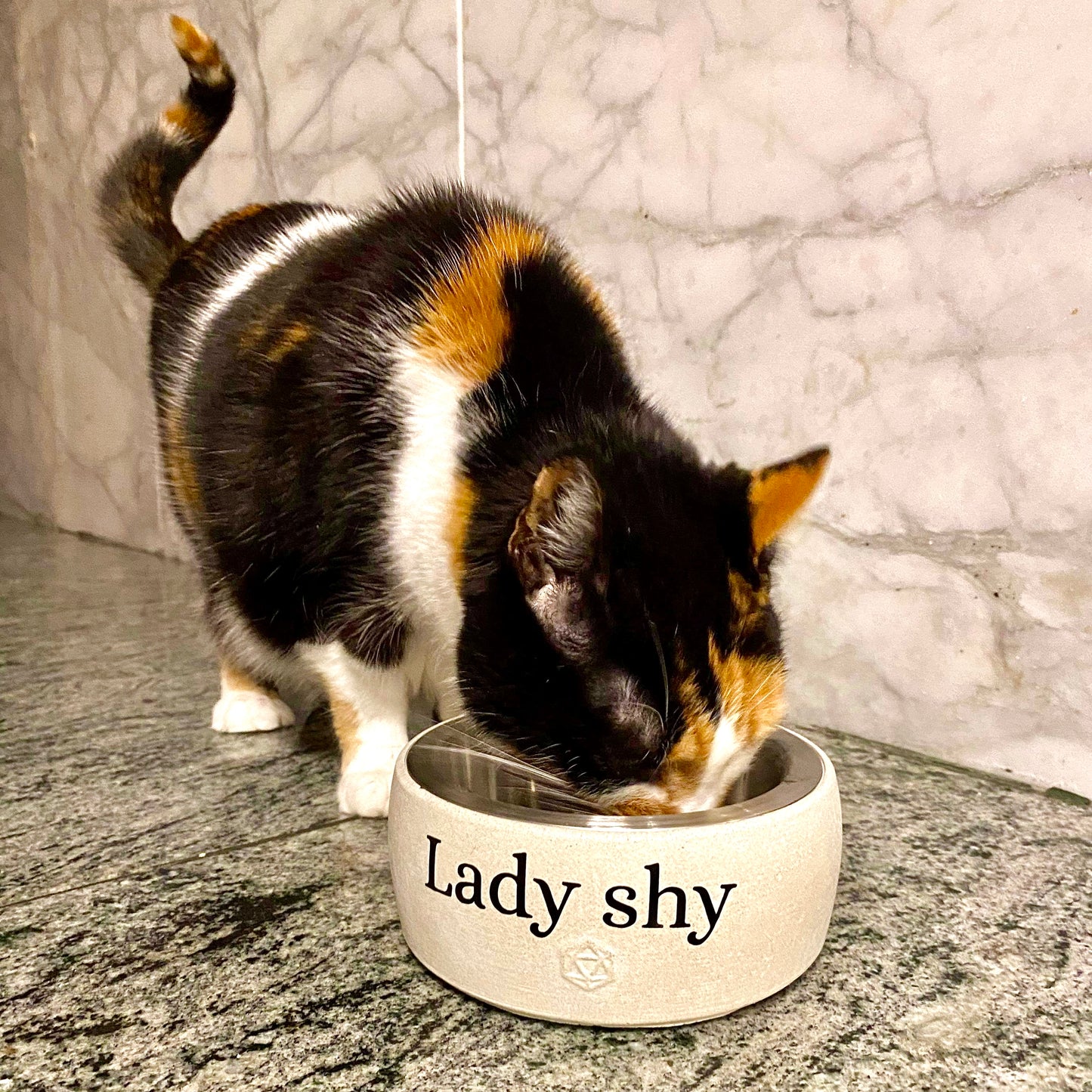 Small animal bowl