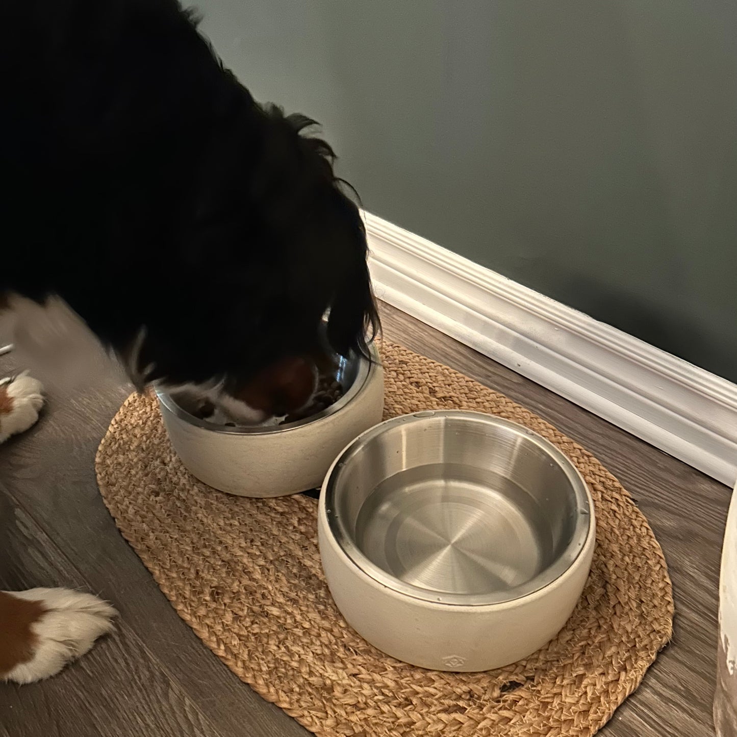 Large animal bowl