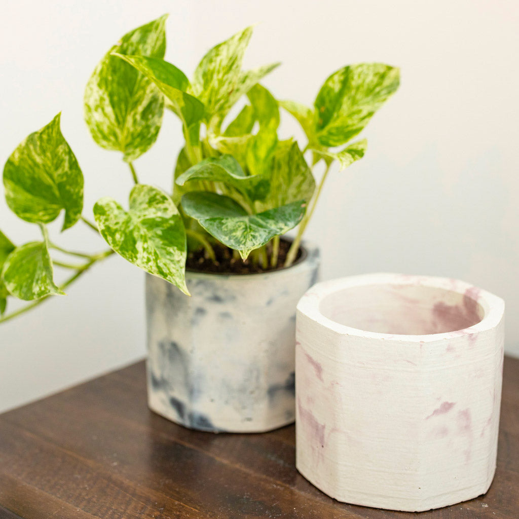 Jadeite | concrete pot
