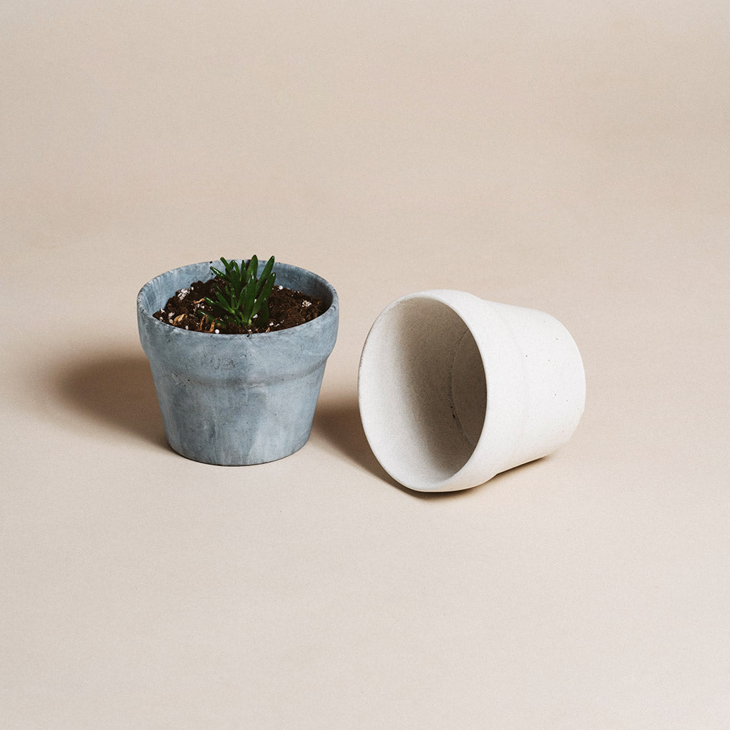 Carnelian | concrete pot