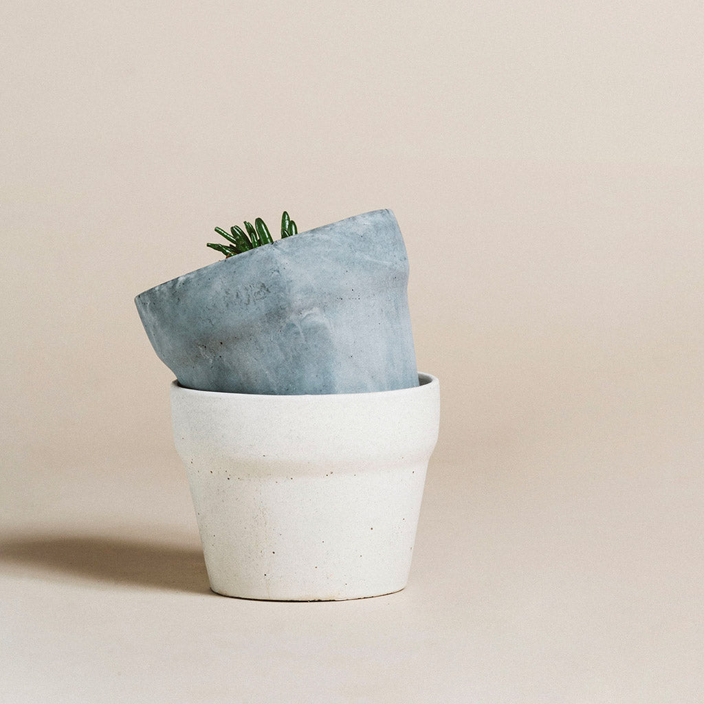 Pot de béton duo mis ensemble emboité avec petite plante dans le pot gris.