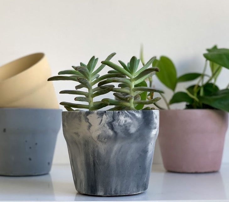 Carnelian | concrete pot
