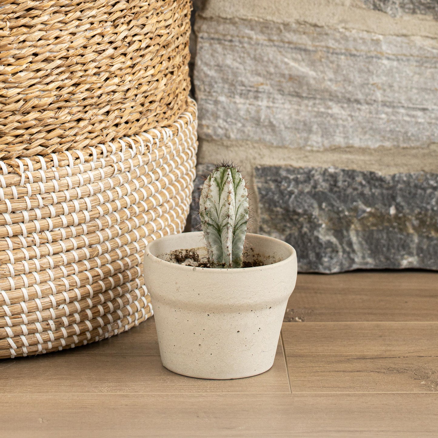 Carnelian | concrete pot