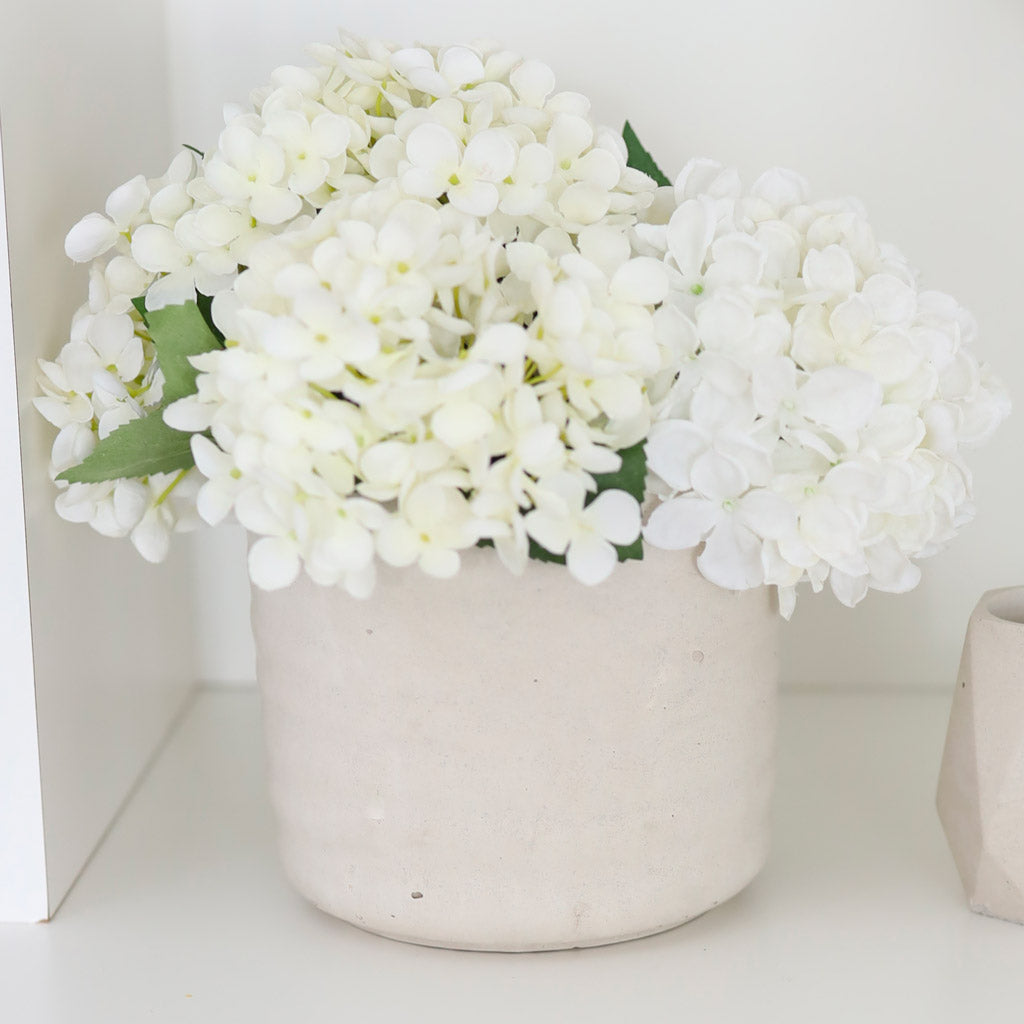 Amethyst | concrete pot