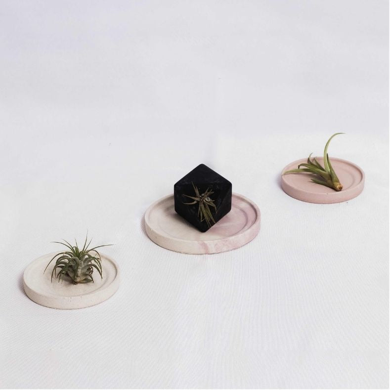 Plant saucer