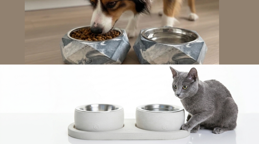 Gamelle en béton pour animaux : robuste, belle, et faite pour durer