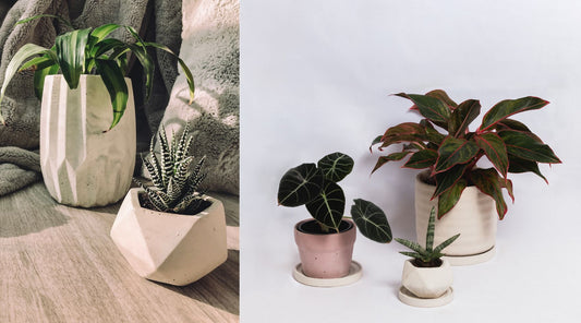 10 pots uniques en béton fait à la main au Québec pour sublimer vos plantes et décorer votre intérieur