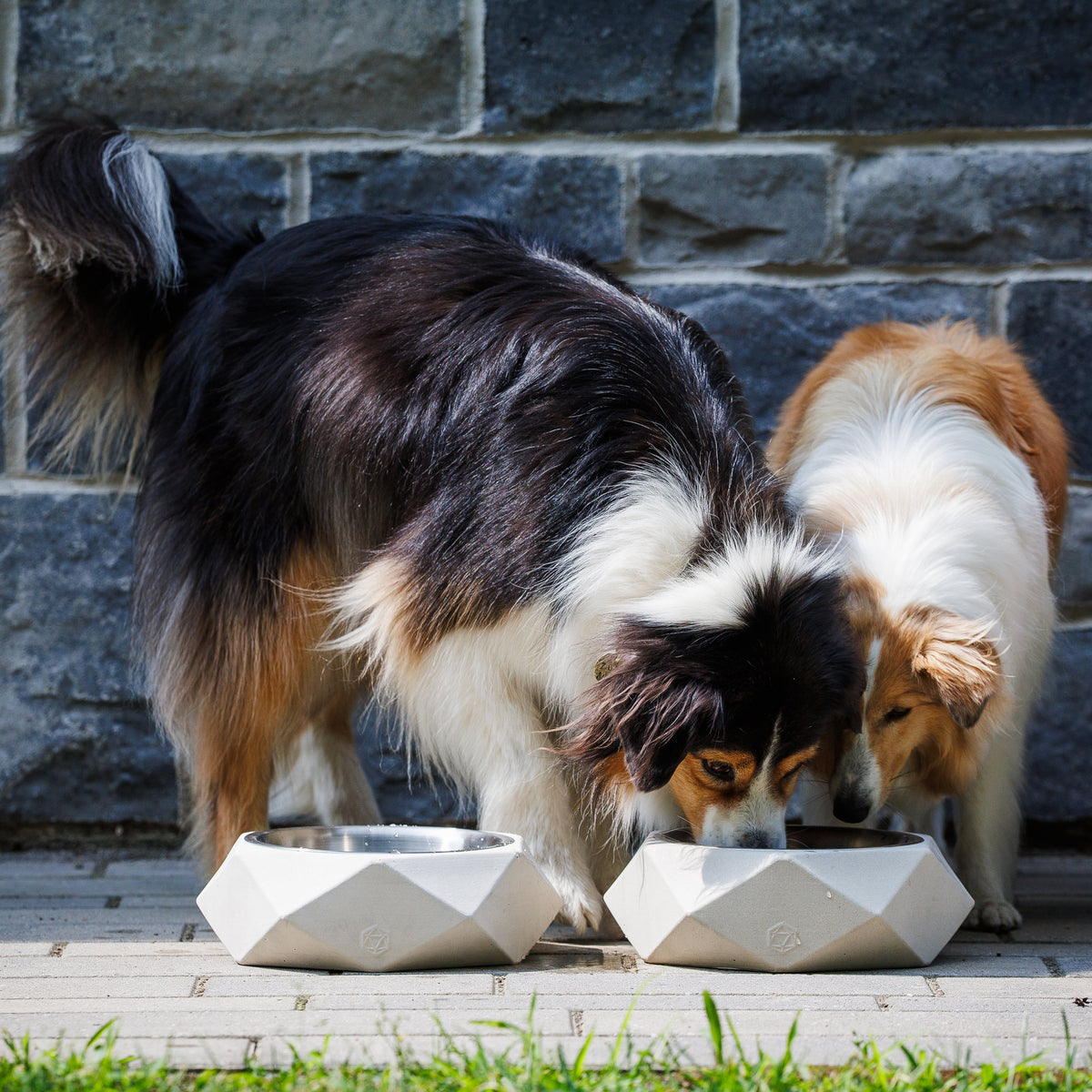 Large animal bowl