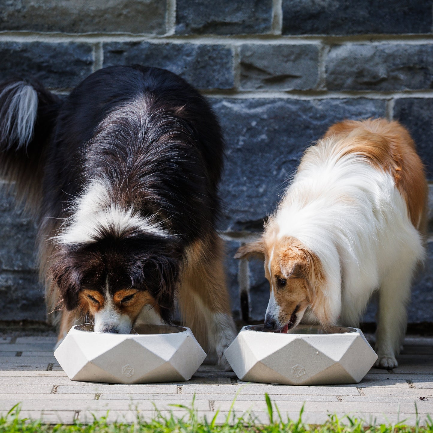 Large animal bowl