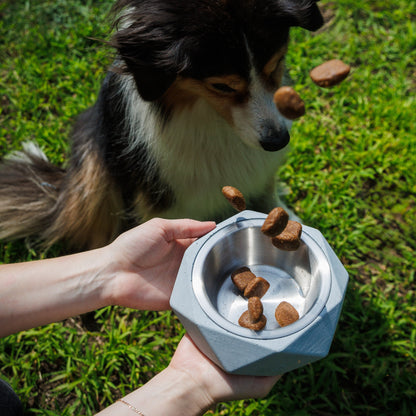 Small animal bowl