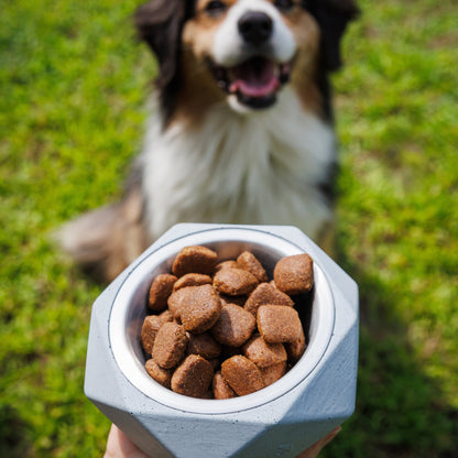 Small animal bowl