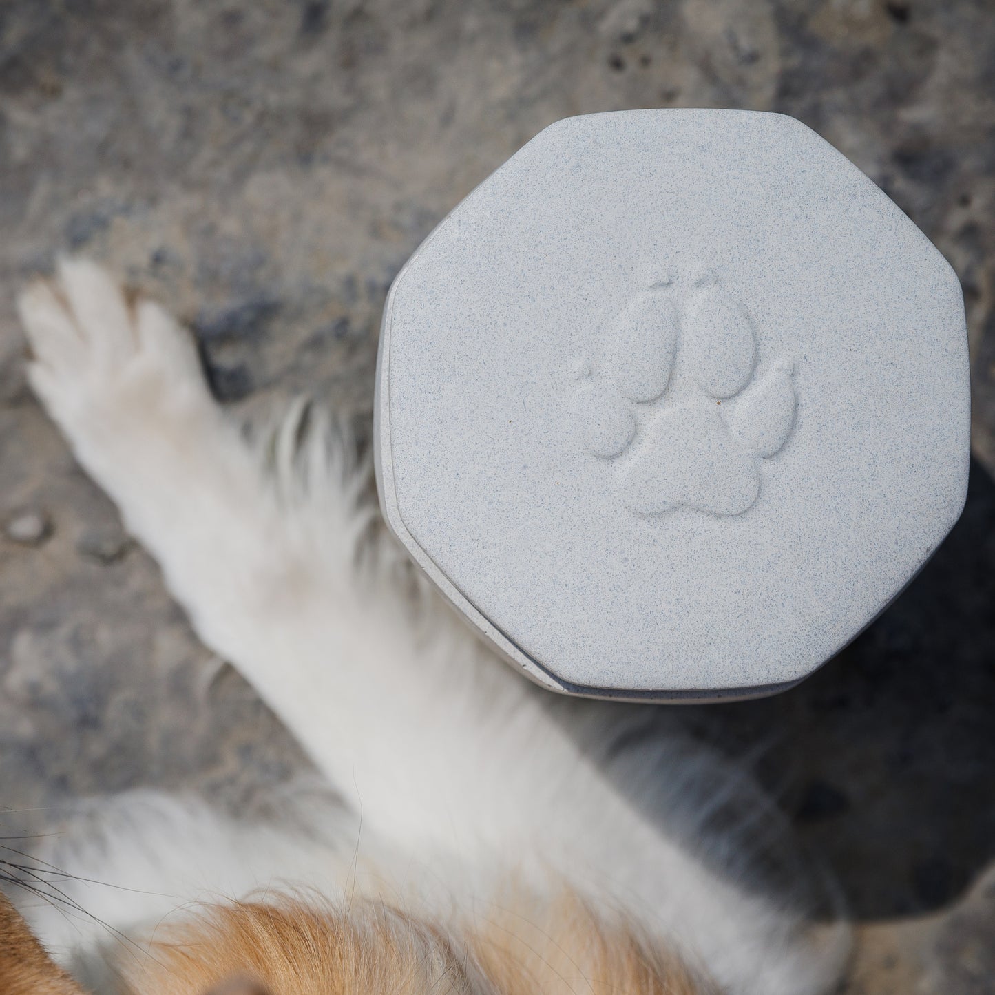 Urne animaux Jadéite