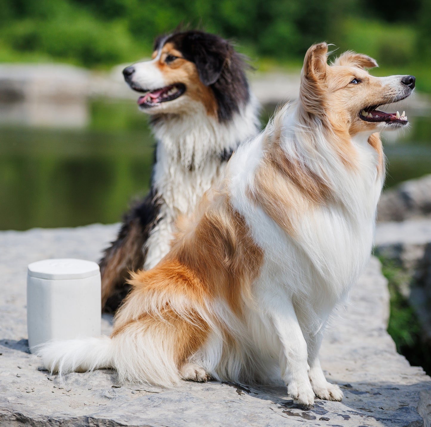 Urne animaux Jadéite