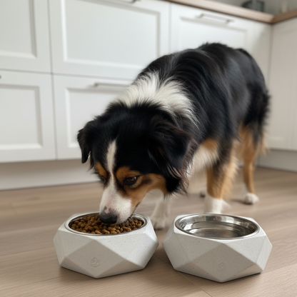 Large animal bowl