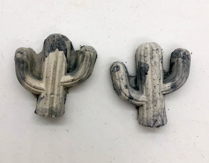 Magnetic cactus