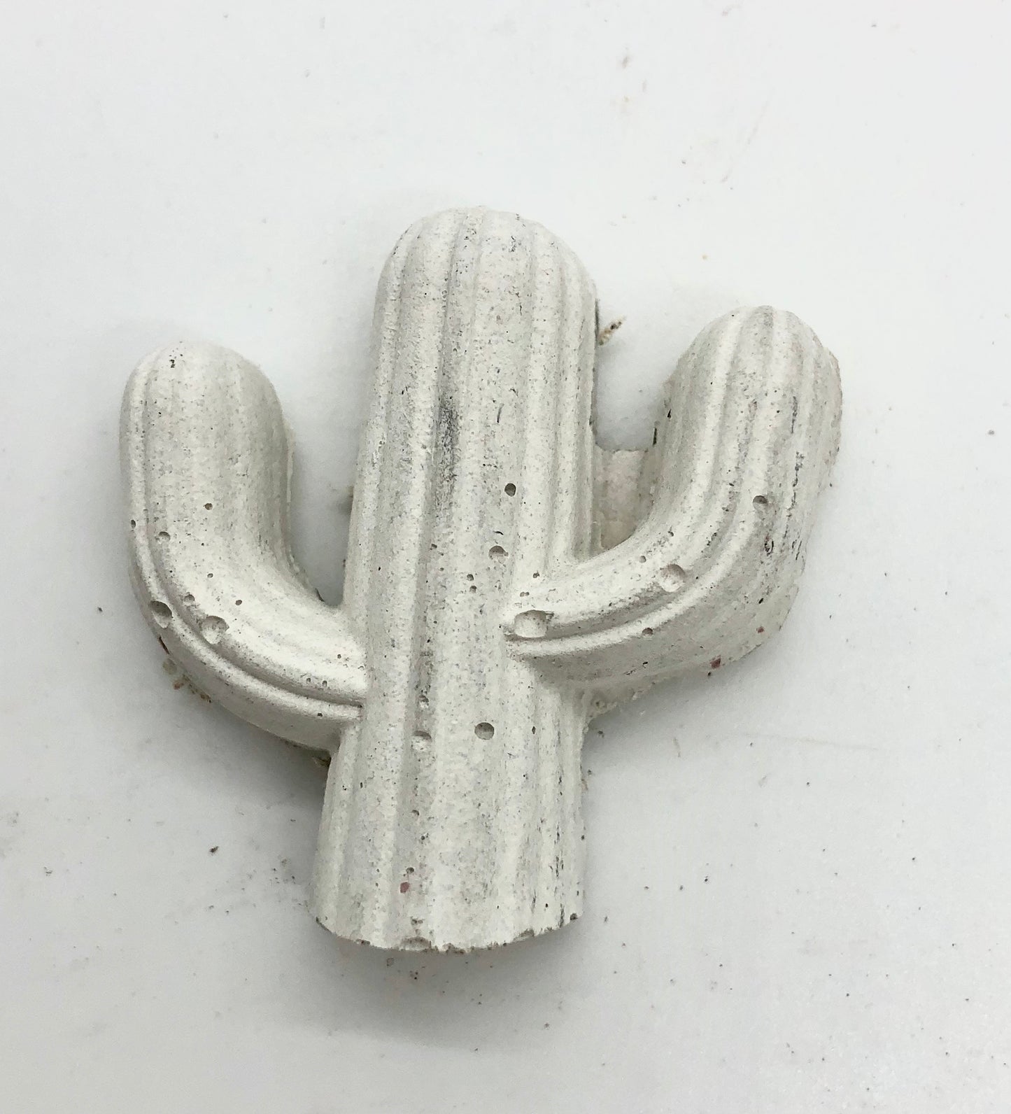 Magnetic cactus