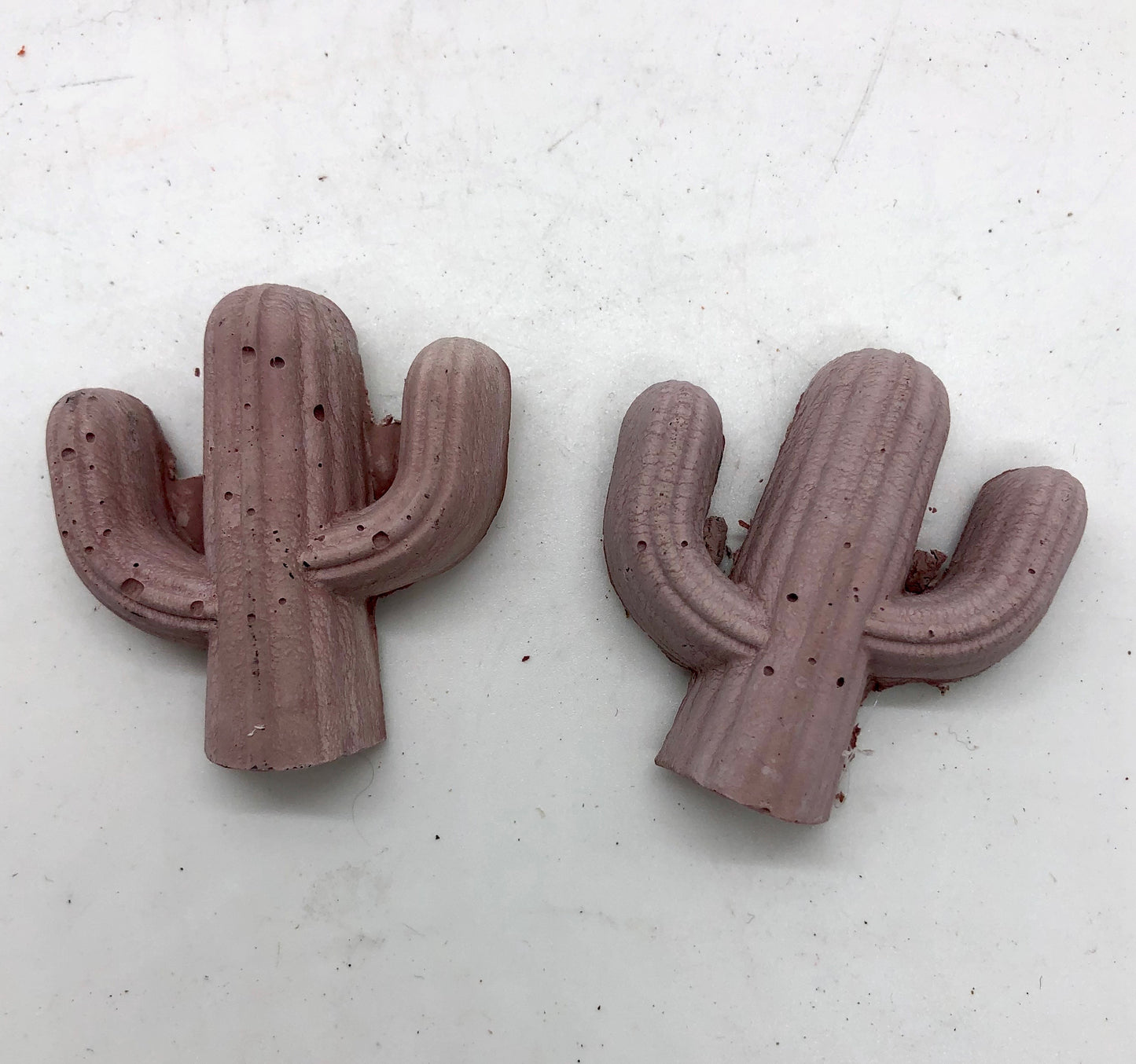 Magnetic cactus
