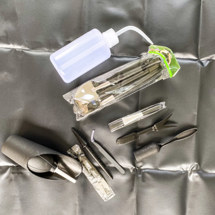 Succulent transplant tools