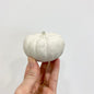 Decorative Concrete Pumpkins - Fall Collection