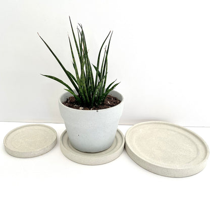 Plant saucer
