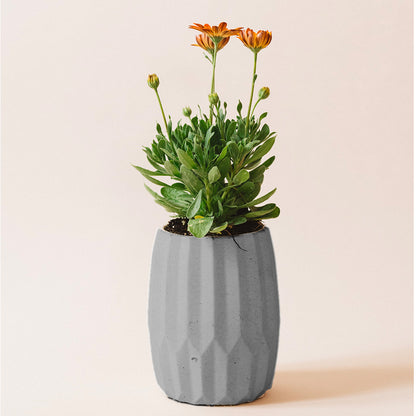 Opal | concrete pot