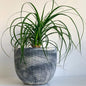 Pearl | concrete pot