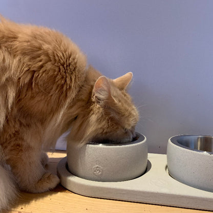 Small animal bowl