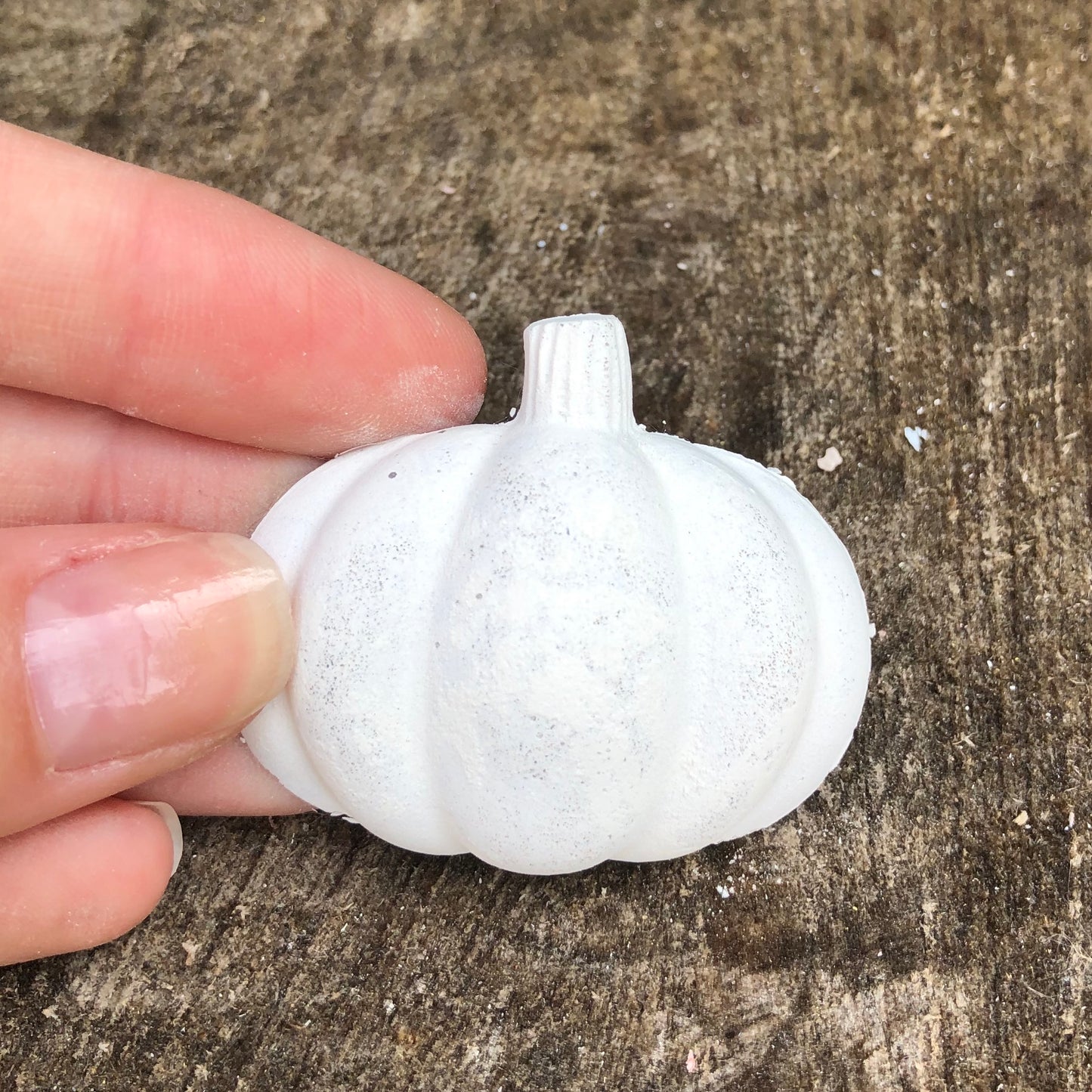 pumpkin magnet
