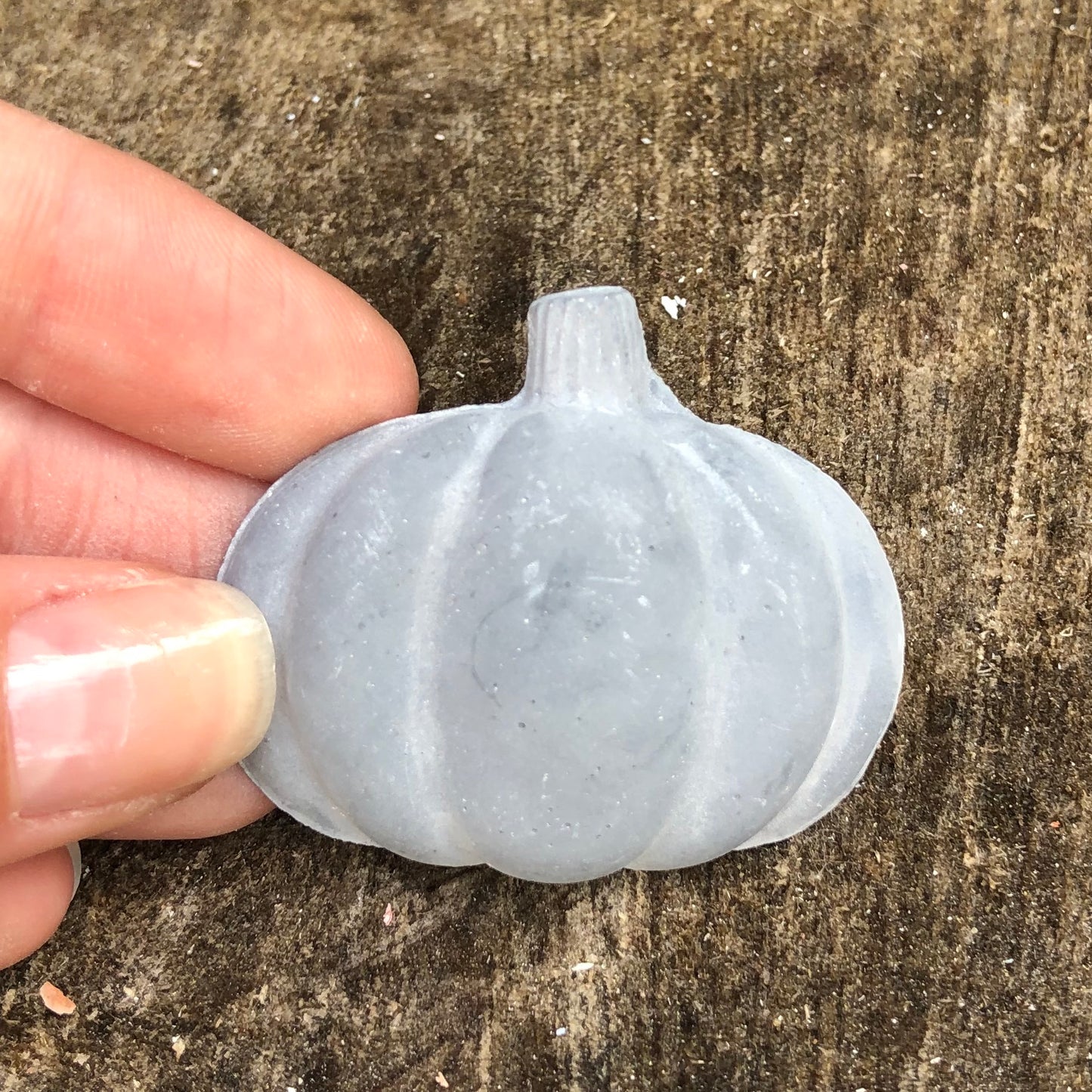 pumpkin magnet