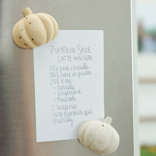 pumpkin magnet