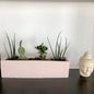 planter