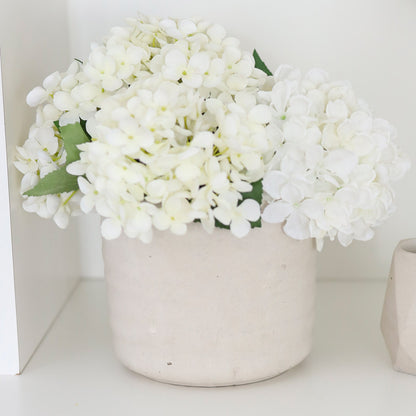 Amethyst | concrete pot