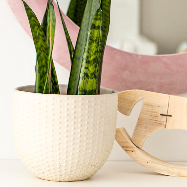 Pearl | concrete pot