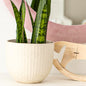 Pearl | concrete pot