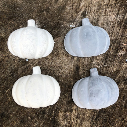 pumpkin magnet