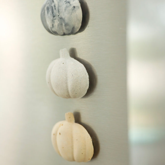 pumpkin magnet
